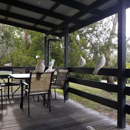 Cockatoo Cabin Halls Gap Exterior photo