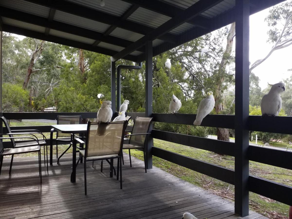 Cockatoo Cabin Halls Gap Exterior photo